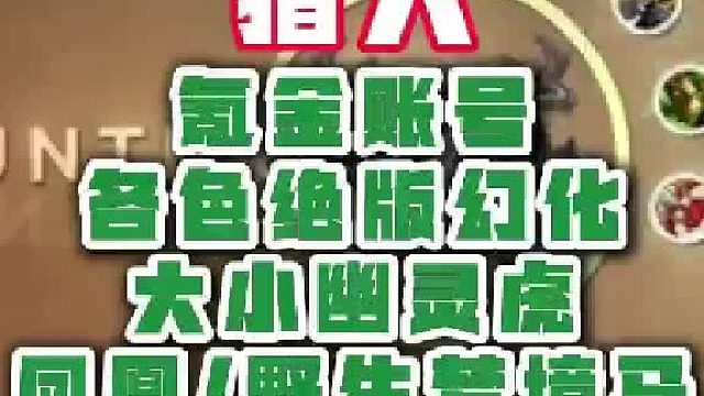 魔兽成品号~猎人