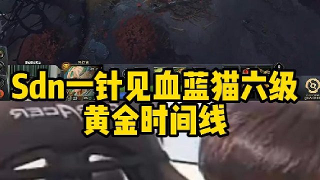 Sdn一针见血蓝猫六级黄金时间线