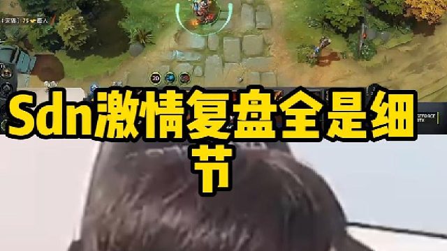 Sdn激情复盘全是细节
