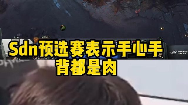 Sdn预选赛表示手心手背都是肉