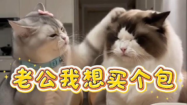 6月18日