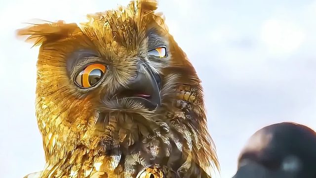 三只傻鸟和一只搞笑的松鼠