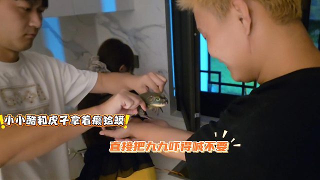 小小酷和虎子拿着癞蛤蟆，直接把九九吓得喊不要