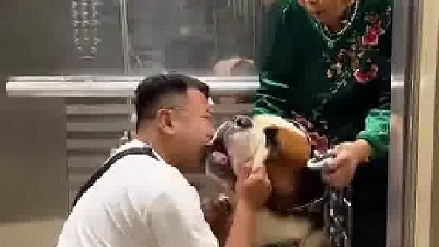 进电梯看到老人牵着狗，问老人这狗能不能摸,万万没想到