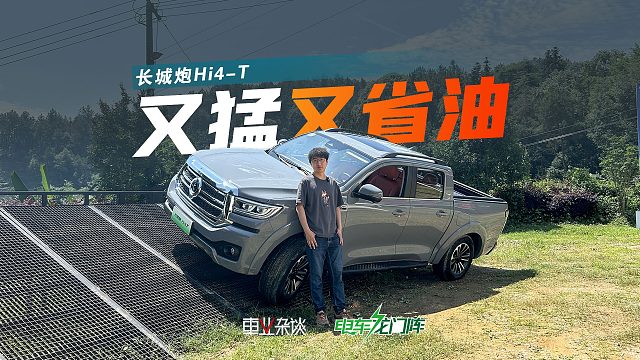 带长城炮Hi4-T越野，这车是真的硬核