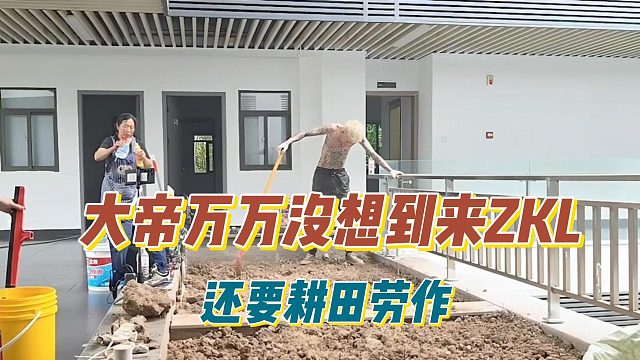 大帝万万没想到来ZKL，还要耕田劳作