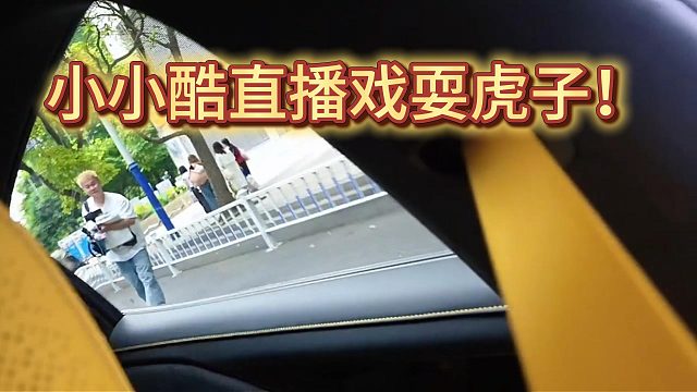 小小酷直播戏耍虎子！