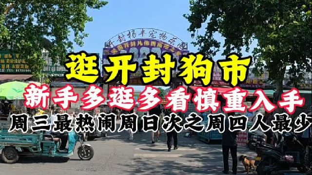 开封狗市，周三人最多周日次之周四最少！想来的新手多逛慎重入手