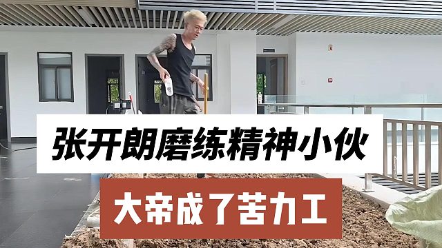 张开朗磨练精神小伙，大帝成了苦力工