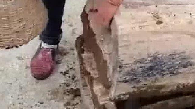 养蜂人将蜜蜂收回蜂箱，眼疾手快干脆利落  ​