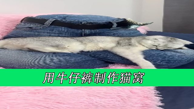 用牛仔裤制作猫窝