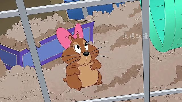 一只小仓鼠引发的鼠患风波