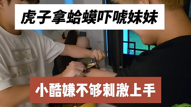 虎子拿蛤蟆吓唬妹妹，小酷嫌不够刺激上手