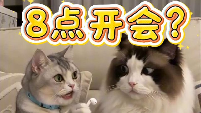 家人们我该打他吗