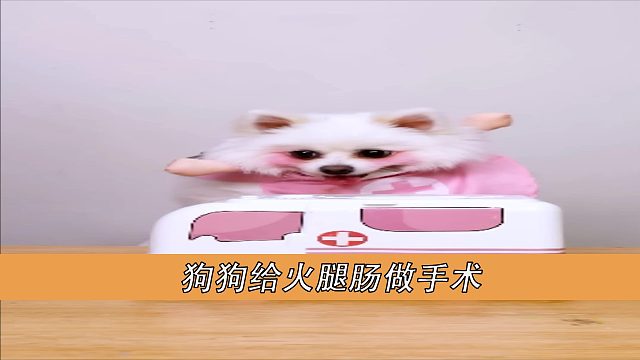 狗狗给火腿肠做手术