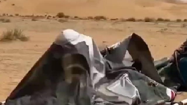 又想骗炮