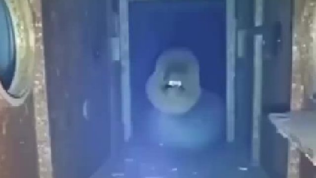这个星球上绝对没有任何东西能说服我游进海底的一个黑暗走廊