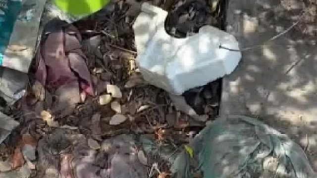 这是个什么东西？