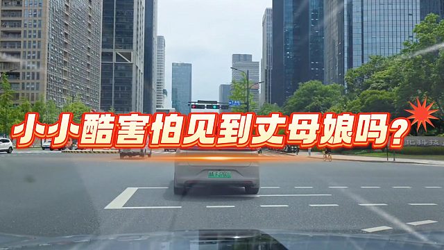 小小酷害怕见到丈母娘吗？