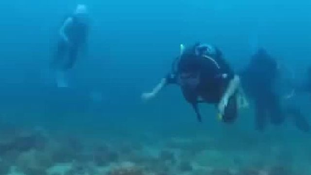 浅水仲手触摸海洋生物，被教练发现后赶忙制止，网友：甚至她转身的时候还踹到了同伴
