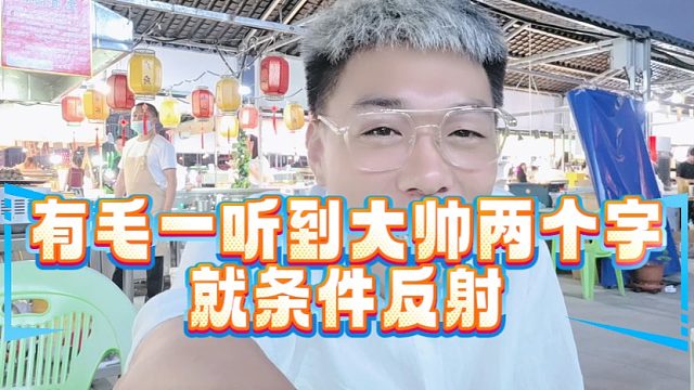 有毛一听到大帅两个字就条件反射