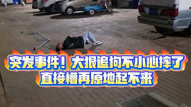 【小小小酷哥】突发事件！大狠追狗不小心摔了直接懵再原地起不来