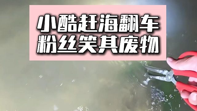 小酷赶海翻车，粉丝笑其废物