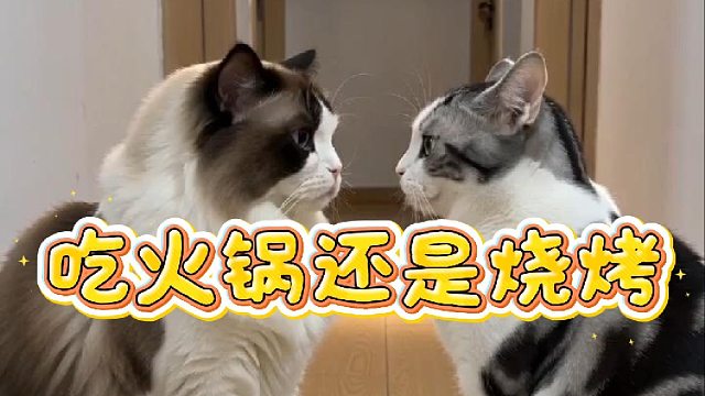吃火锅还是吃烧烤