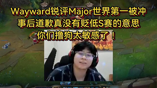 Wayward又被冲了！再次道歉真没说Major大于S赛，你们撸狗太敏感了