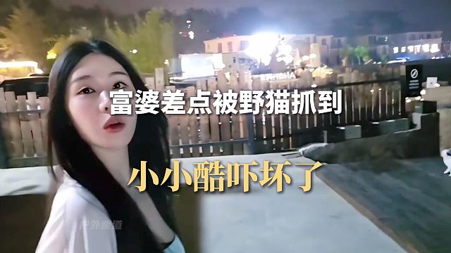 富婆差点被野猫抓到，小小酷吓坏了