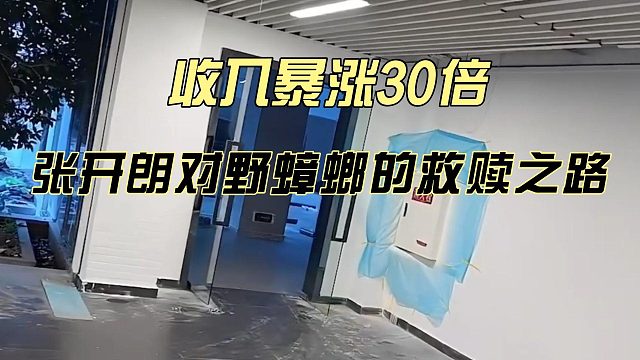 收入暴涨30倍，张开朗对野蟑螂的救赎之路