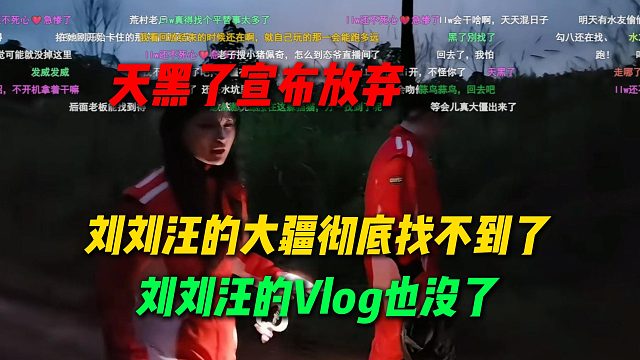 刘刘汪的大疆彻底找不到了，天黑了也没找到宣布放弃，llw的vlog也没了