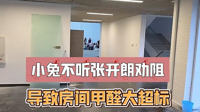 小兔不听张开朗劝阻，导致房间甲醛大超标