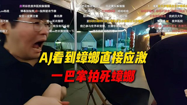 AJ看到蟑螂直接应激，直接一巴掌拍死蟑螂，AJ还在恨好兄弟