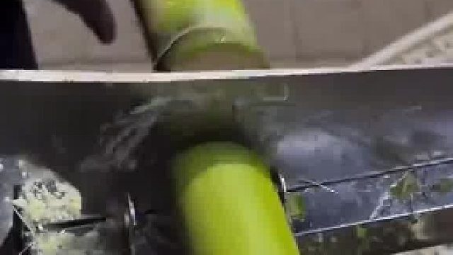 我：切断不去皮中间一段拿回煮水喝，老板：还是你会吃