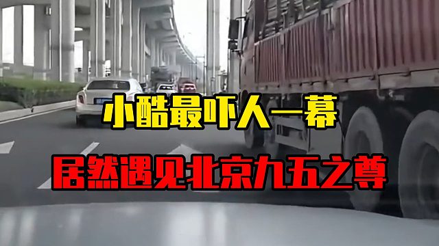 小酷最吓人一幕，居然遇见北京九五之尊
