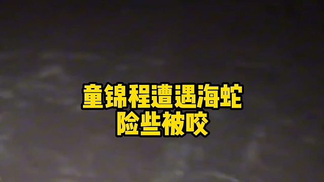 童锦程遭遇海蛇，险些被咬