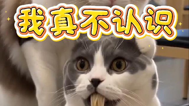 我真不认识啊