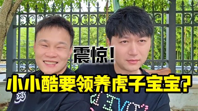 小小酷要领养虎子宝宝？