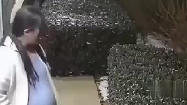 深夜惊险时刻，赤狐突袭孕妇，大白熊犬霸气护主！