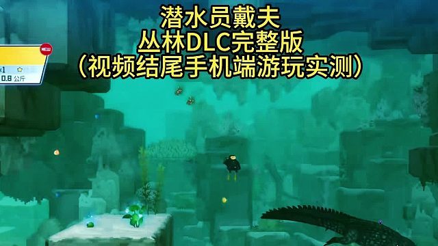 游戏推荐：潜水员戴夫
