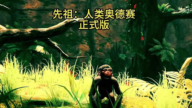 先祖：人类奥德赛