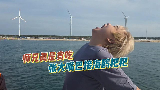 师兄真是贪吃，张大嘴巴接海鸥粑粑