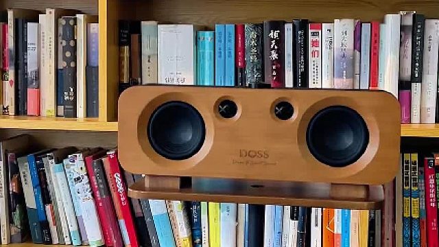 这款音响，懂年轻人的 24 小时！DOSS声浪原木音响