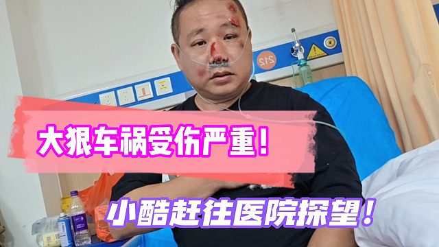 大狠车祸受伤严重！小酷赶往医院探望！