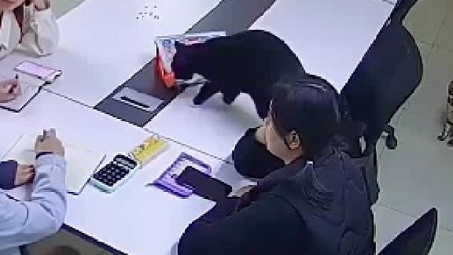 姑娘挡的很熟练，看来不是第一次