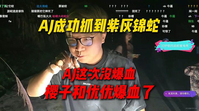 AJ户外抓蛇成功抓到紫灰锦蛇，这次AJ反而没爆血，反而带来的女主播樱子和优优爆血了