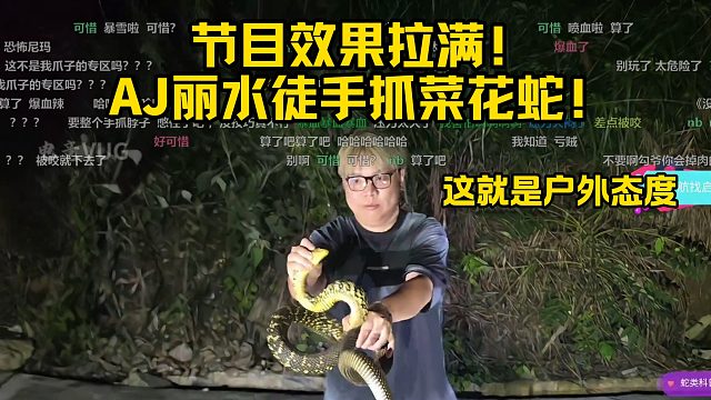 节目效果拉满！AJ丽水徒手抓菜花蛇！AJ真的不一样了！