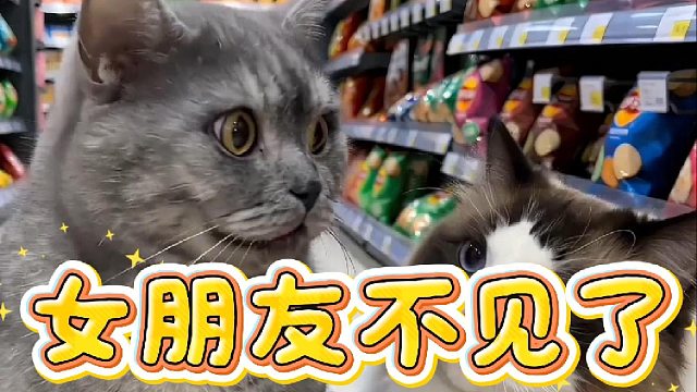 我女朋友不见了