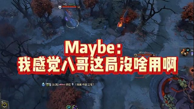Maybe：我感觉八哥这局没啥用啊